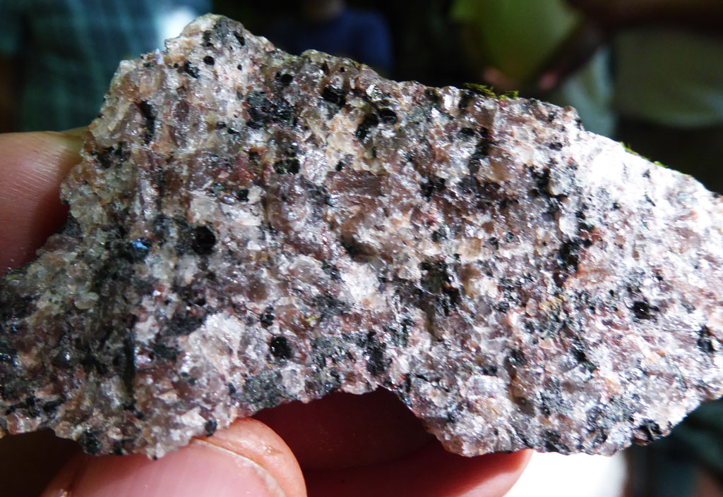 Granodiorite