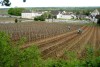 Vignobles Rion à Nuits-Saint-Georges