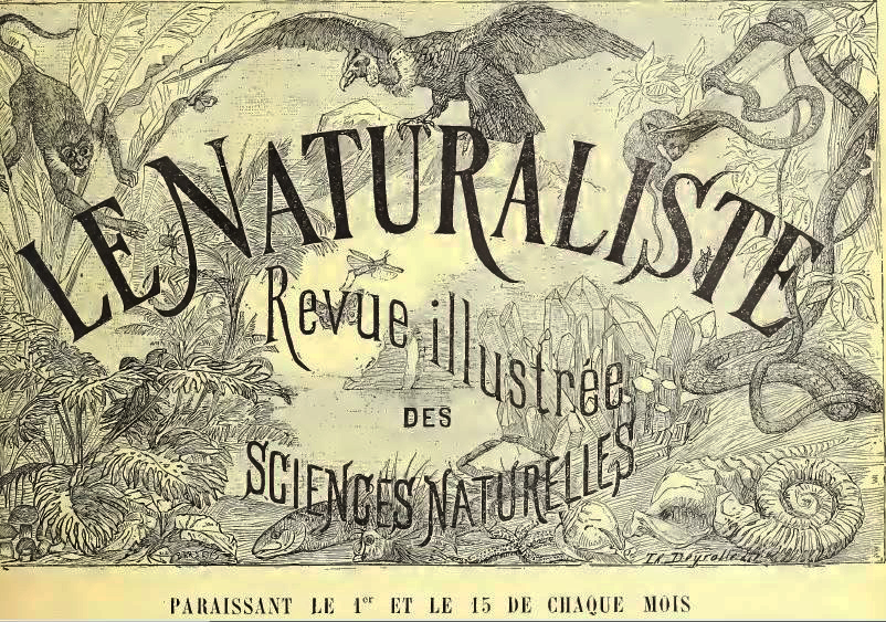 Le Naturaliste